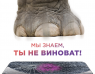 Ай, Молодец (Курская)
