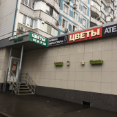 Mobi-tok.ru