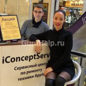 IConceptService